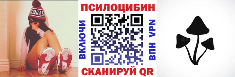 mega мориарти официальный сайт Псилоцибиновые грибы Psilocybine cubensis Киреевск